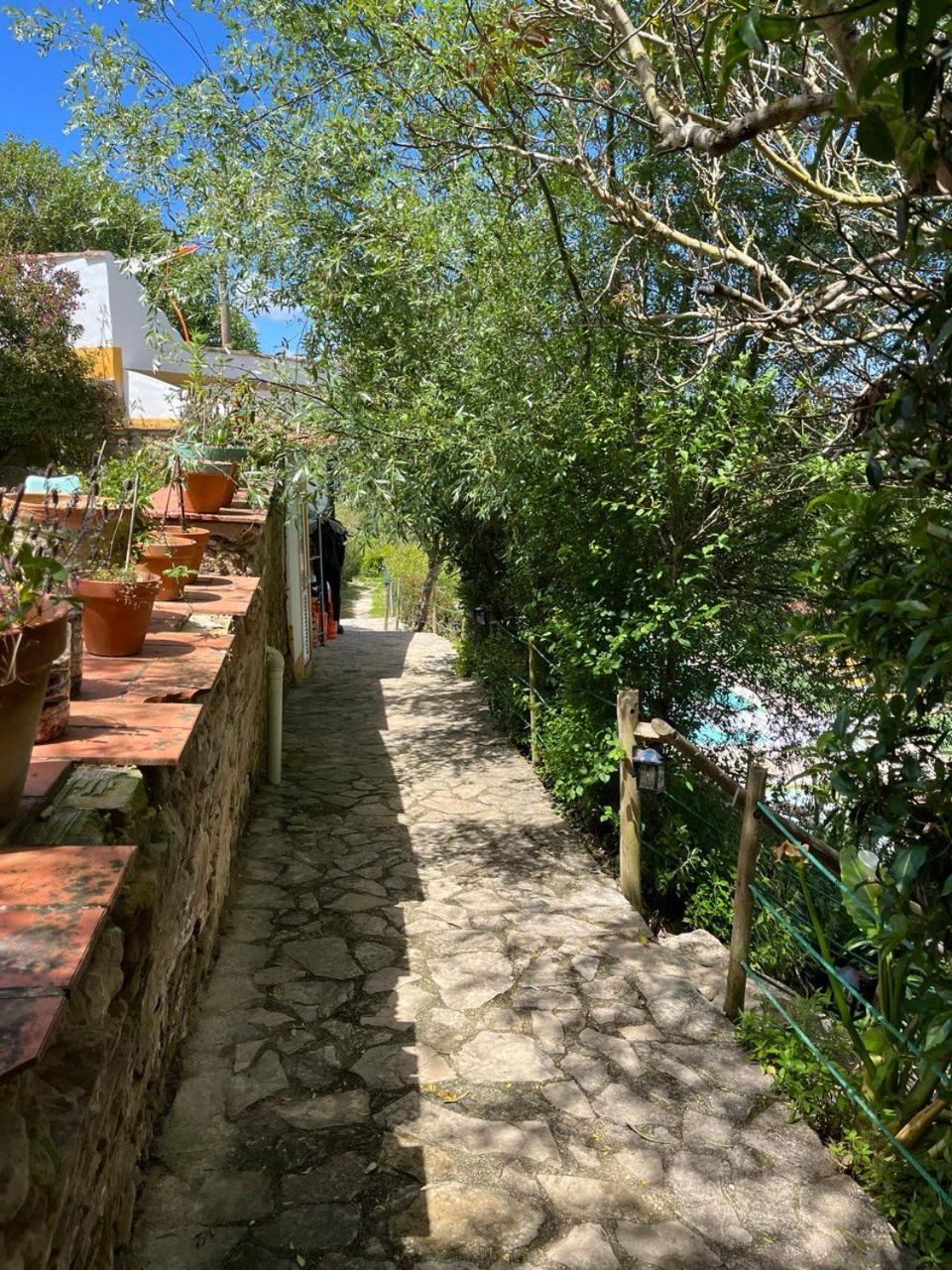 Quinta Laranja - Turismo Rural - Alvorninha Kültér fotó