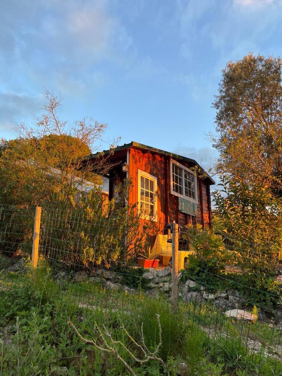 Quinta Laranja - Turismo Rural - Alvorninha Kültér fotó