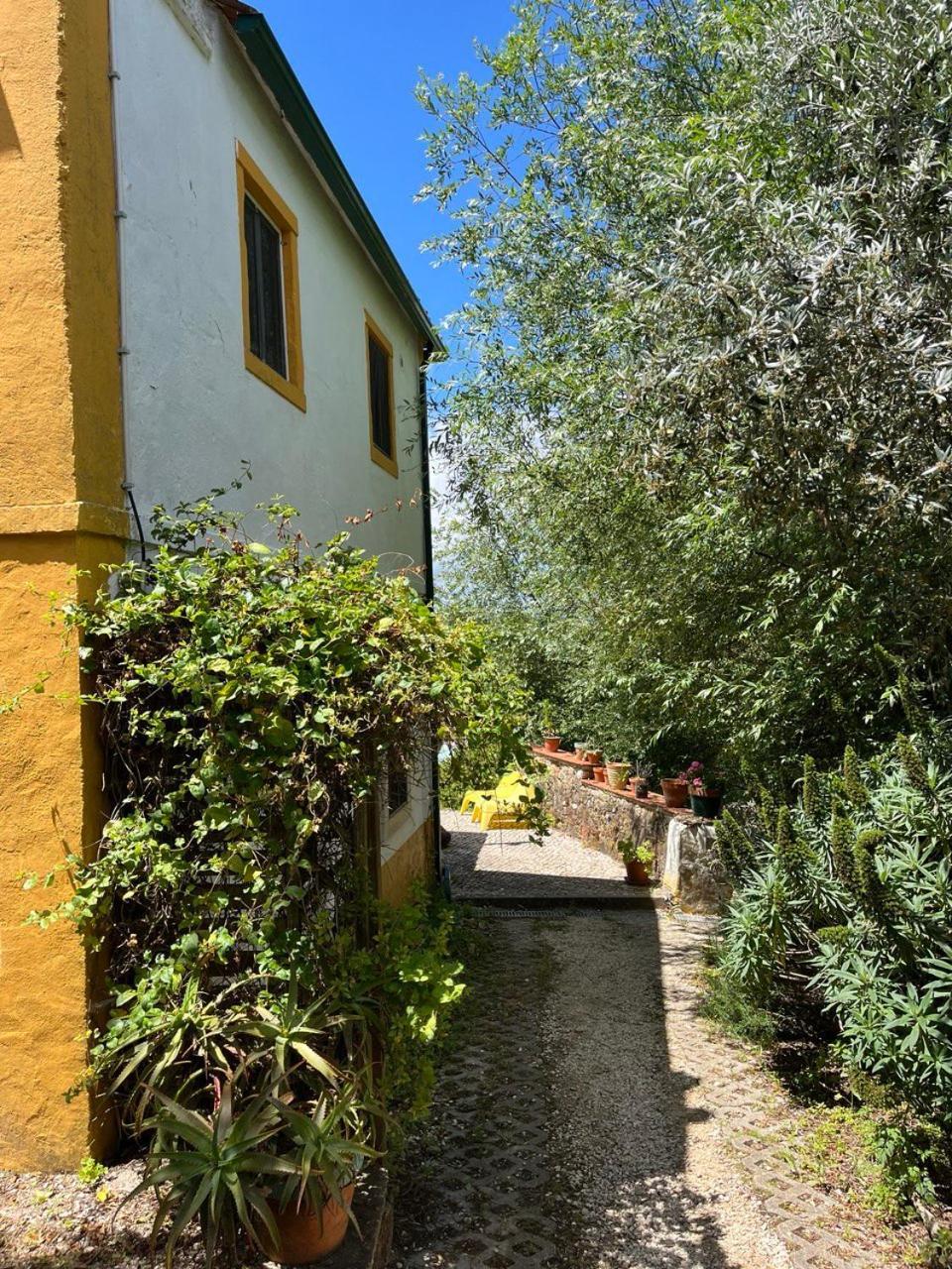 Quinta Laranja - Turismo Rural - Alvorninha Kültér fotó