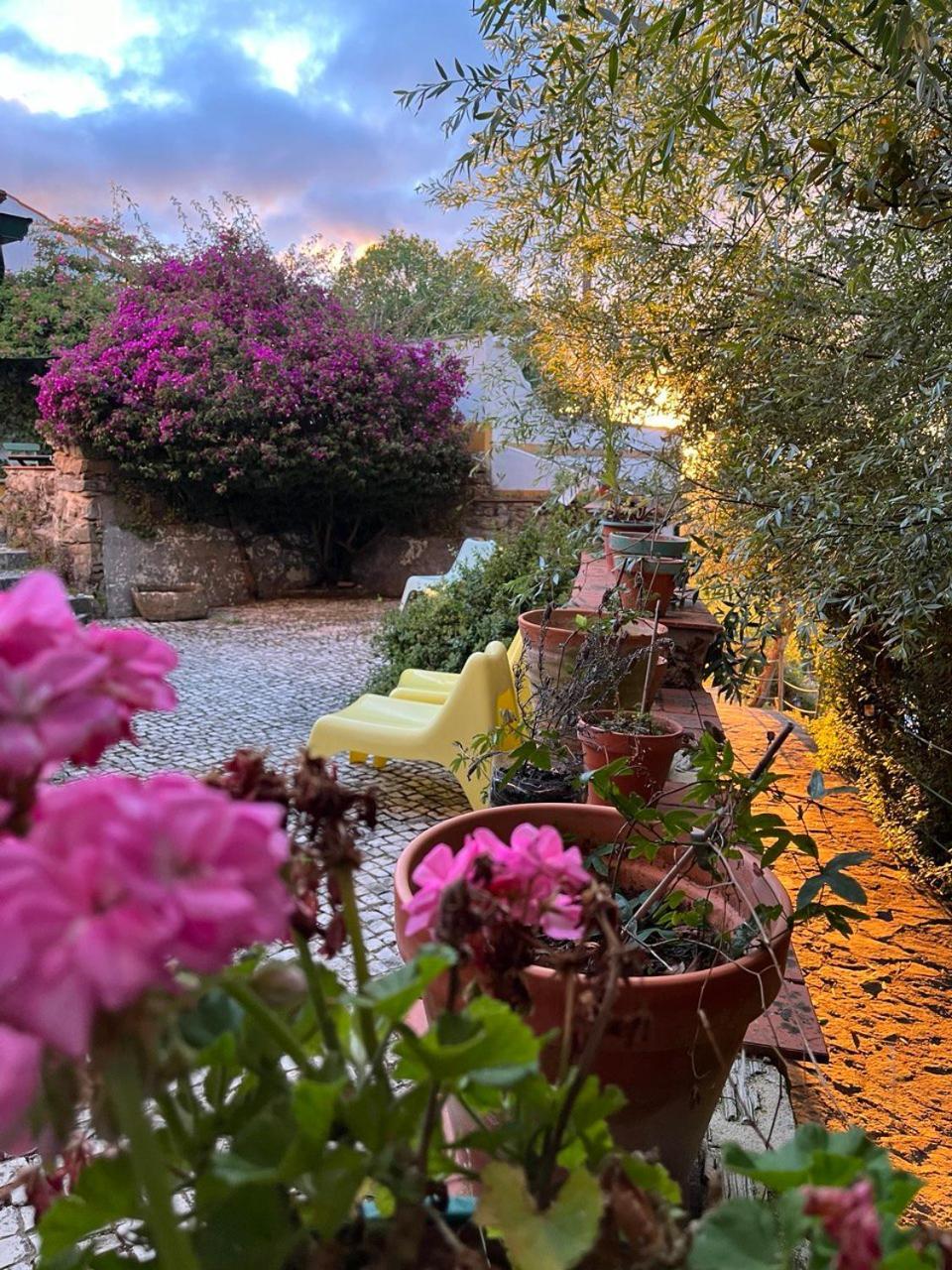 Quinta Laranja - Turismo Rural - Alvorninha Kültér fotó