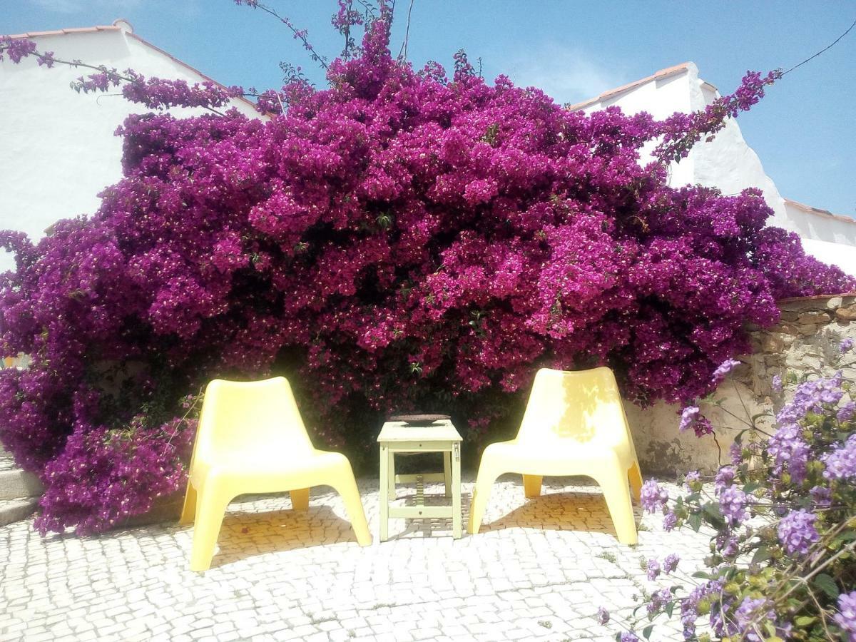Quinta Laranja - Turismo Rural - Alvorninha Kültér fotó
