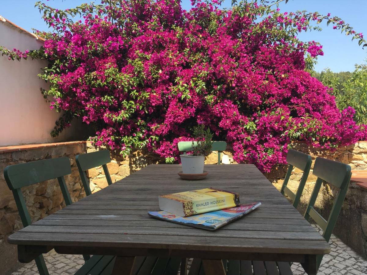 Quinta Laranja - Turismo Rural - Alvorninha Kültér fotó